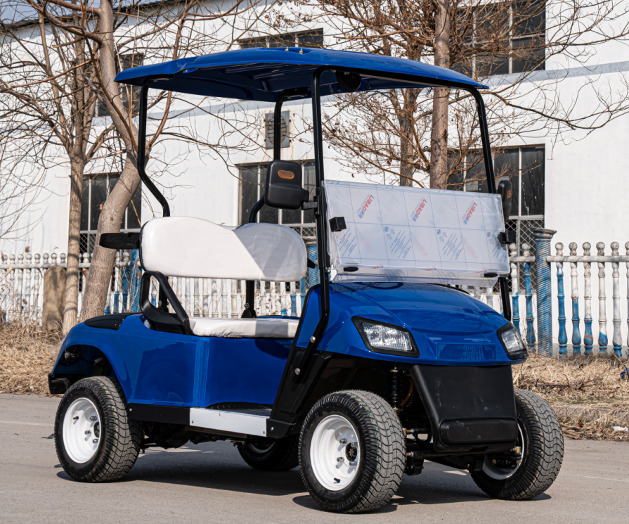 Hot Sale Electric Off Road Gol - Golf Equipment For Sale のレビューと価格