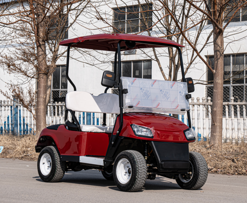 Hot Sale Electric Off Road Gol - Golf Equipment For Sale のレビューと価格