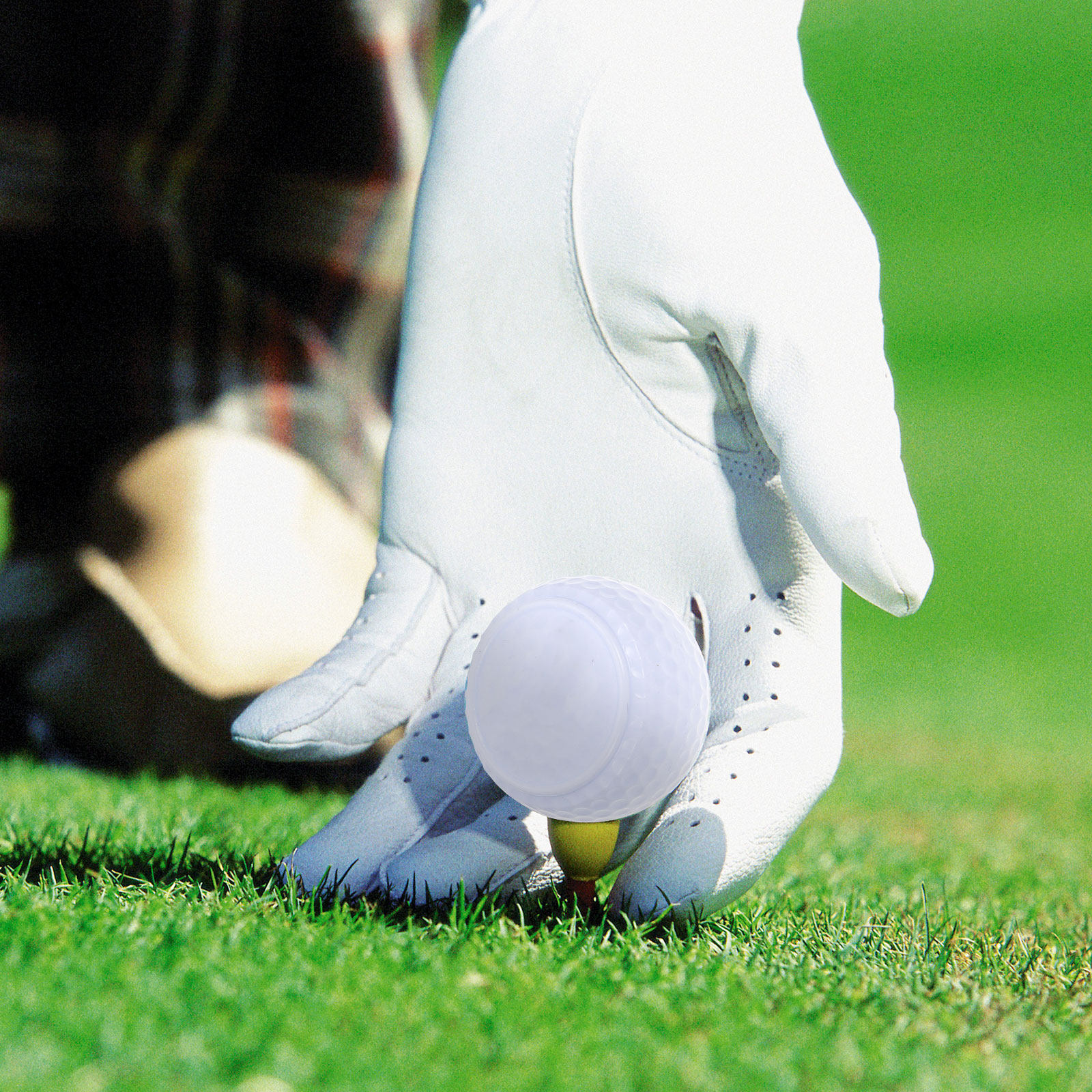 2Pcs Golfing Balls Flat Shape  - Practice Equipment For Golf のレビューと価格